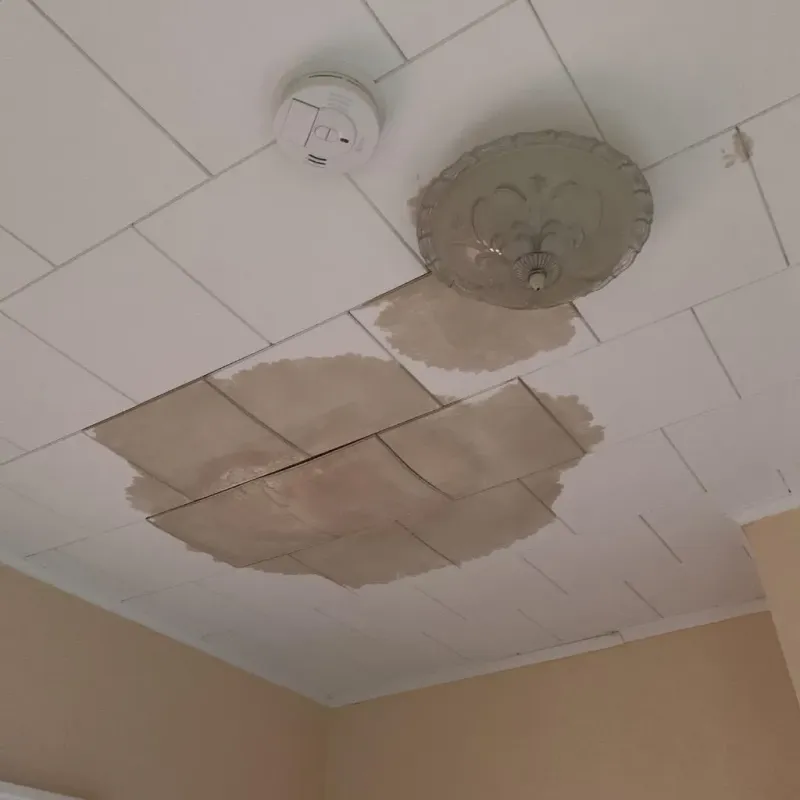 Ceiling Water Damage Repair in Moreland, ID