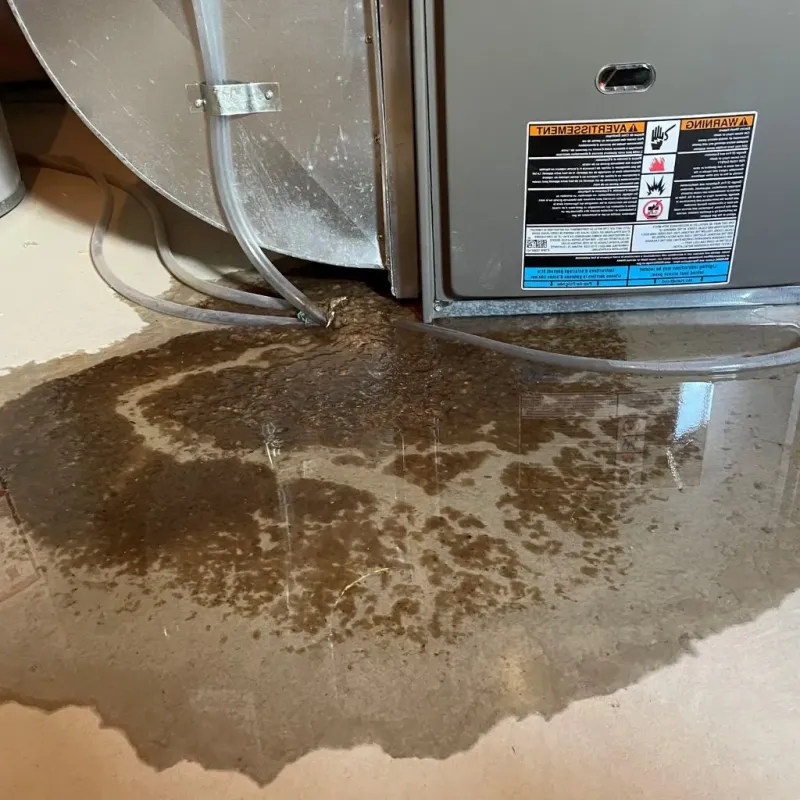 Pipe Burst and Leak Restoration in Moreland, ID