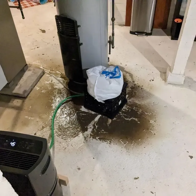 Sewage Backup Cleanup Service in Moreland, ID